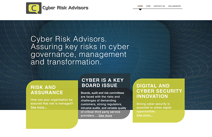 cyber risk advisors web screen - JUDY BRANDT DESIGN